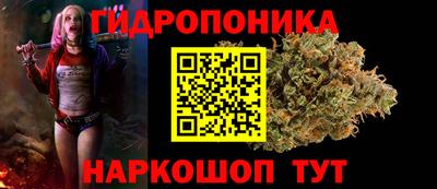 гашишное масло Кингисепп