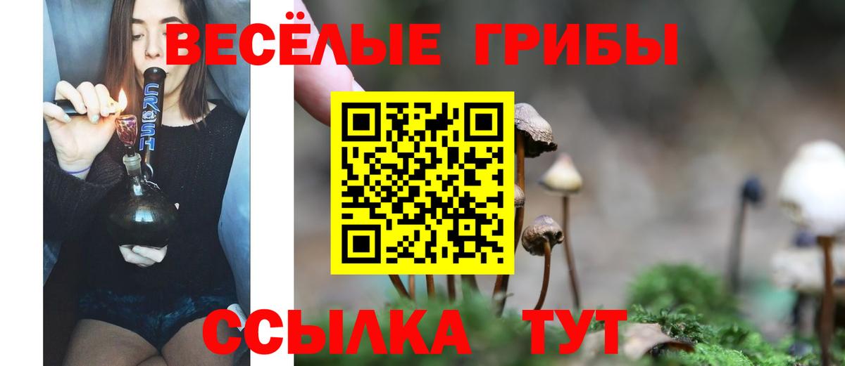 Галлюциногенные грибы прущие грибы Буйнакск